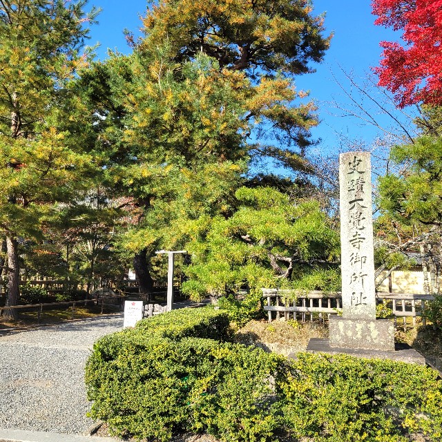 f:id:atoriatoriatori:20241212212119j:image