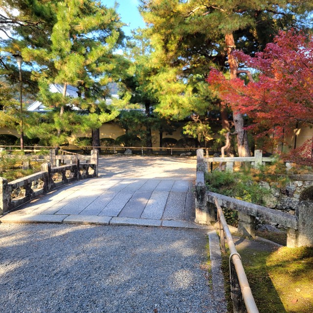 f:id:atoriatoriatori:20241212212137j:image