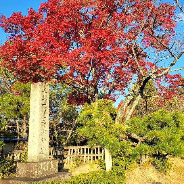 f:id:atoriatoriatori:20241213080449j:image