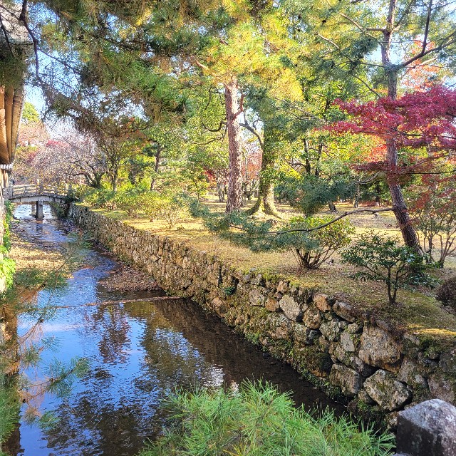 f:id:atoriatoriatori:20241213080938j:image