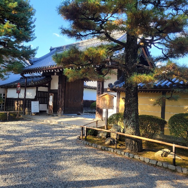 f:id:atoriatoriatori:20241213084051j:image