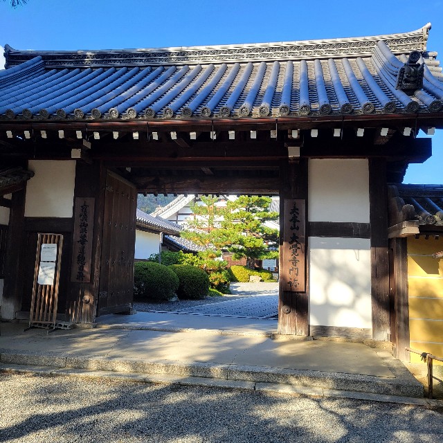 f:id:atoriatoriatori:20241213084058j:image