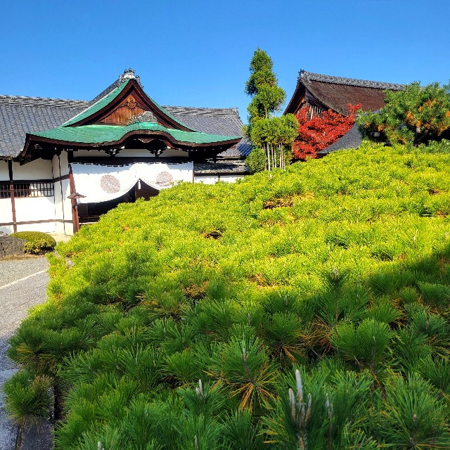 f:id:atoriatoriatori:20241213084815j:image