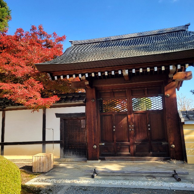 f:id:atoriatoriatori:20241213094835j:image