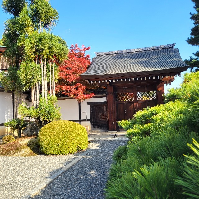 f:id:atoriatoriatori:20241213095209j:image