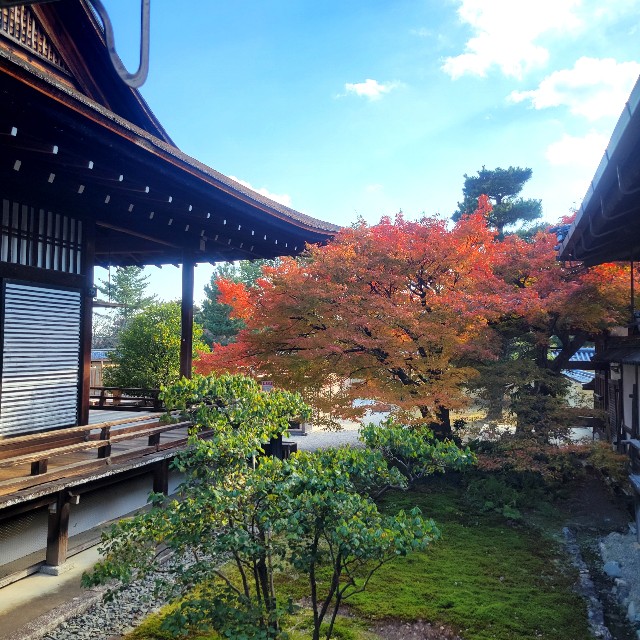 f:id:atoriatoriatori:20241213103846j:image