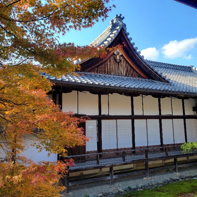 f:id:atoriatoriatori:20241213104510j:image