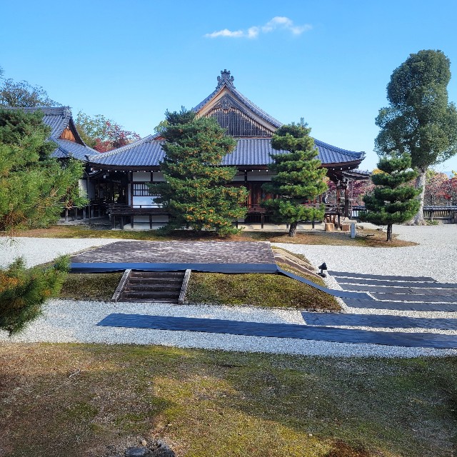 f:id:atoriatoriatori:20241213104536j:image