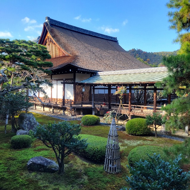 f:id:atoriatoriatori:20241213105419j:image