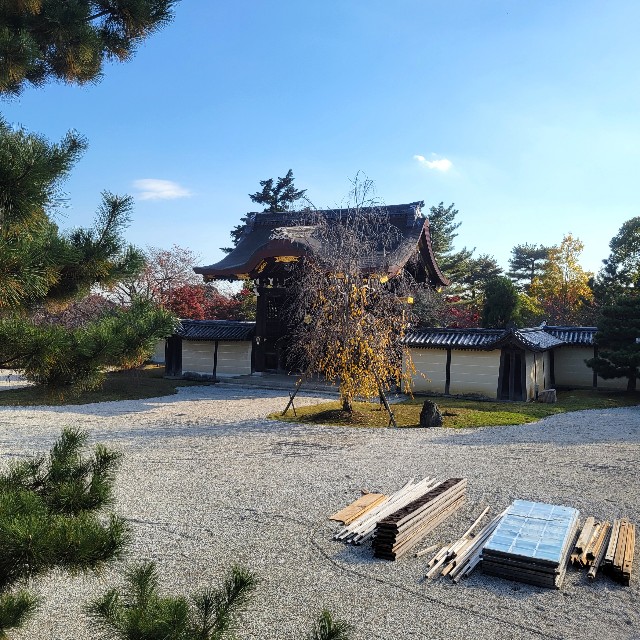 f:id:atoriatoriatori:20241213110024j:image