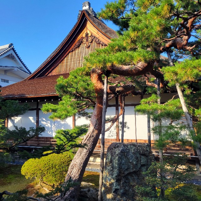 f:id:atoriatoriatori:20241213110116j:image