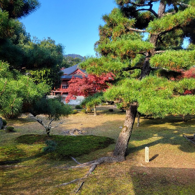 f:id:atoriatoriatori:20241213112006j:image