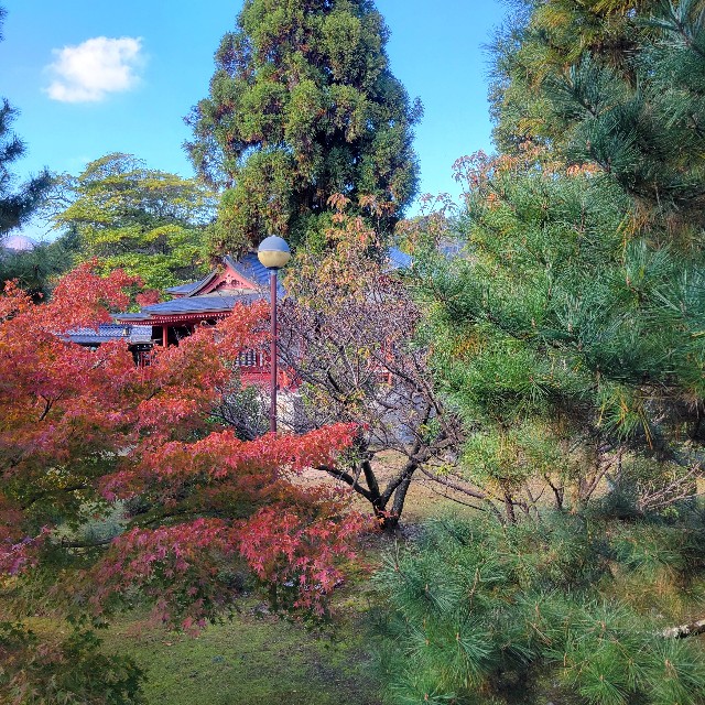 f:id:atoriatoriatori:20241213112015j:image