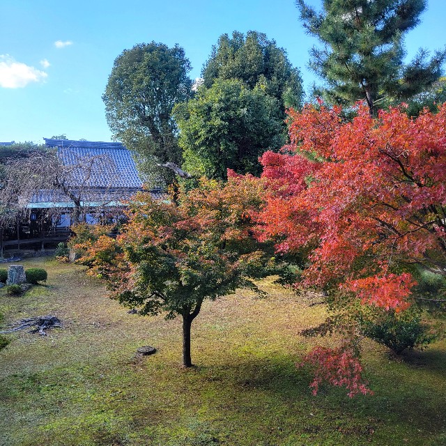 f:id:atoriatoriatori:20241213112041j:image