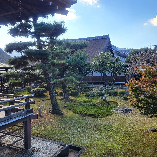 f:id:atoriatoriatori:20241213112052j:image