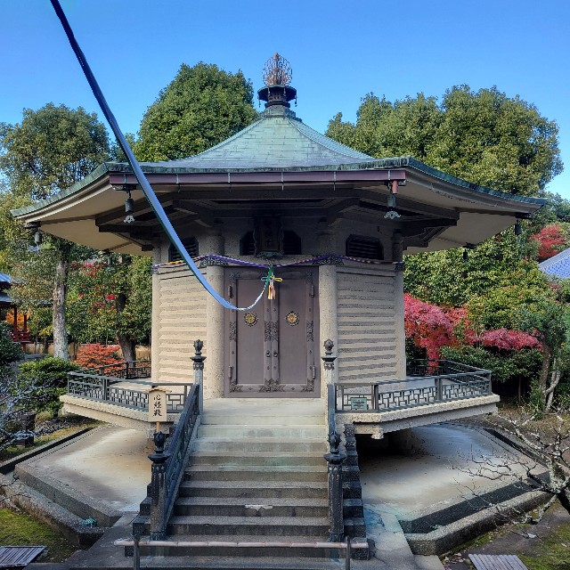 f:id:atoriatoriatori:20241213120006j:image