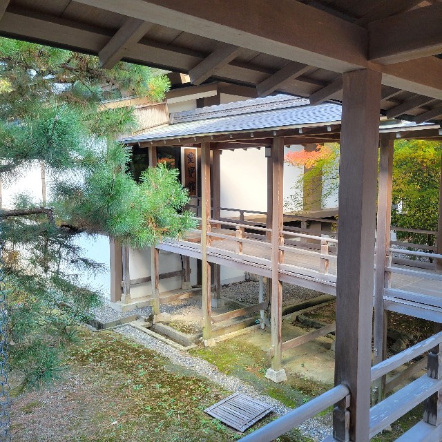 f:id:atoriatoriatori:20241213120430j:image