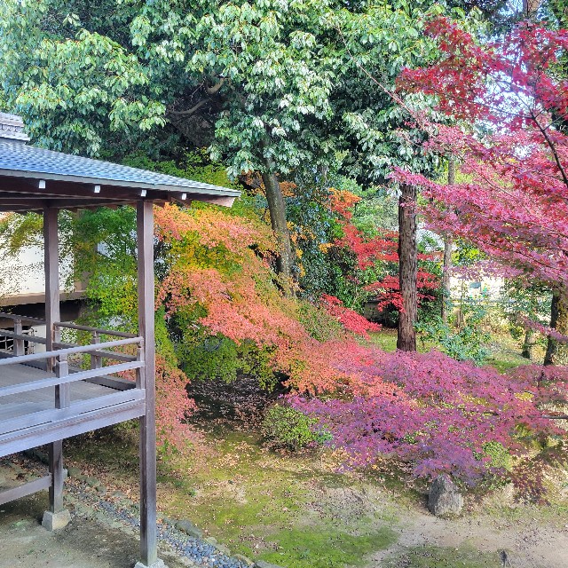 f:id:atoriatoriatori:20241213120439j:image