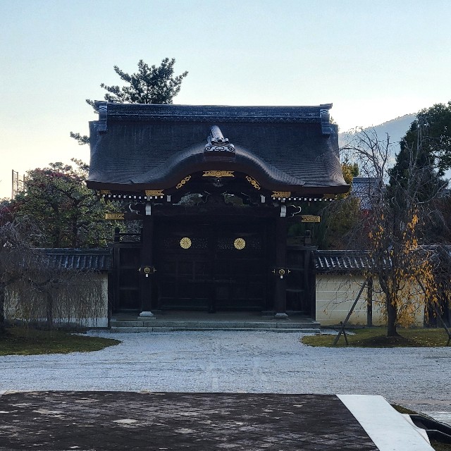 f:id:atoriatoriatori:20241213130110j:image