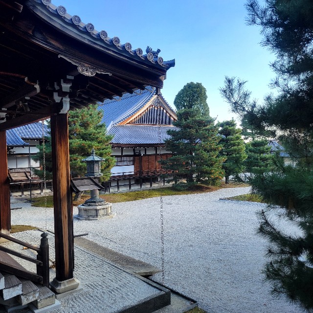 f:id:atoriatoriatori:20241213131512j:image