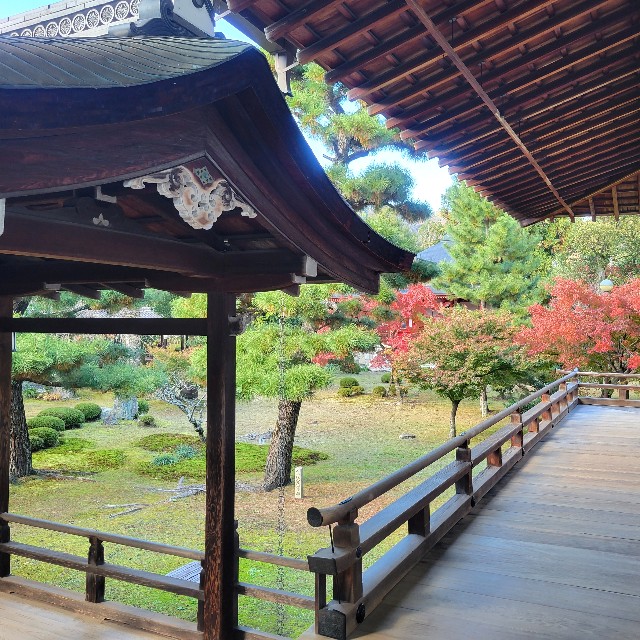 f:id:atoriatoriatori:20241213140811j:image