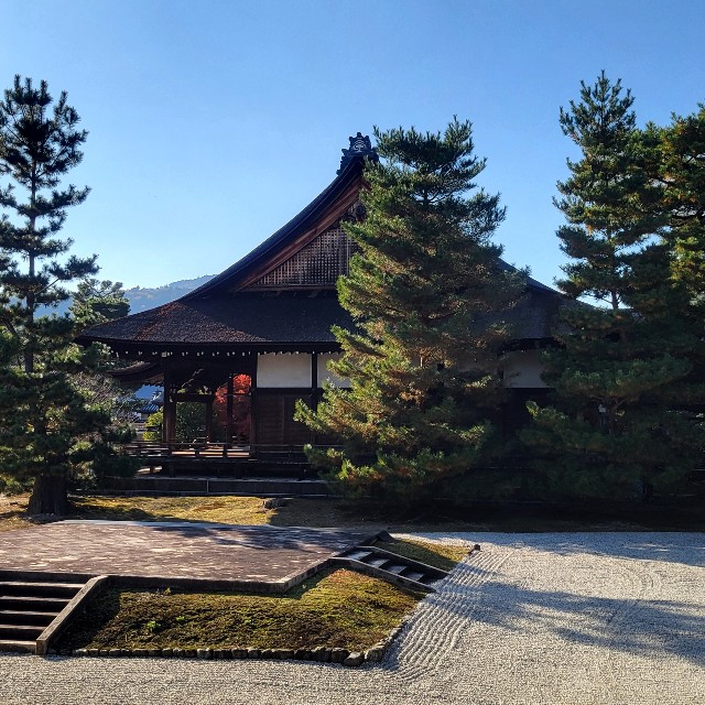 f:id:atoriatoriatori:20241213150601j:image