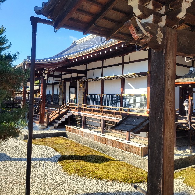 f:id:atoriatoriatori:20241213151937j:image