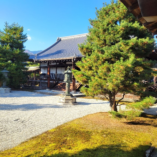 f:id:atoriatoriatori:20241213152131j:image