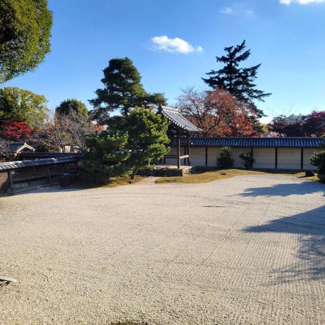 f:id:atoriatoriatori:20241213152426j:image