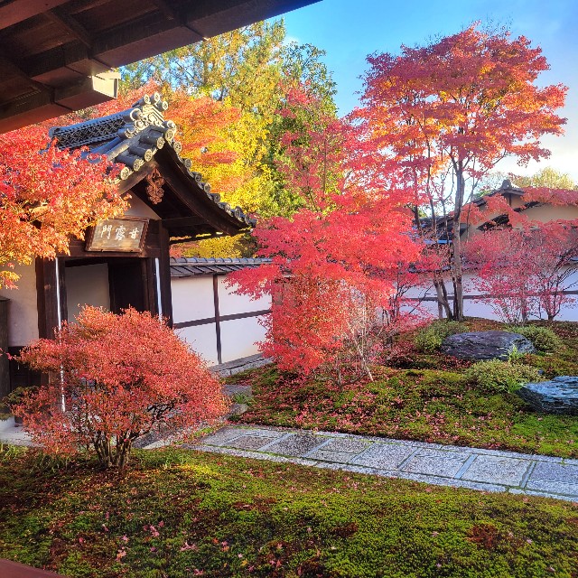 f:id:atoriatoriatori:20241213195437j:image
