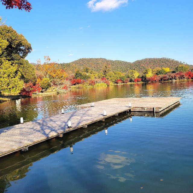 f:id:atoriatoriatori:20241213200036j:image