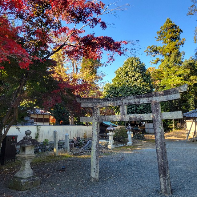 f:id:atoriatoriatori:20241214210116j:image