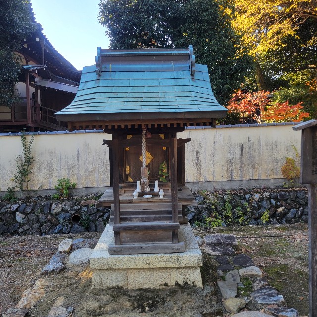 f:id:atoriatoriatori:20241214210136j:image