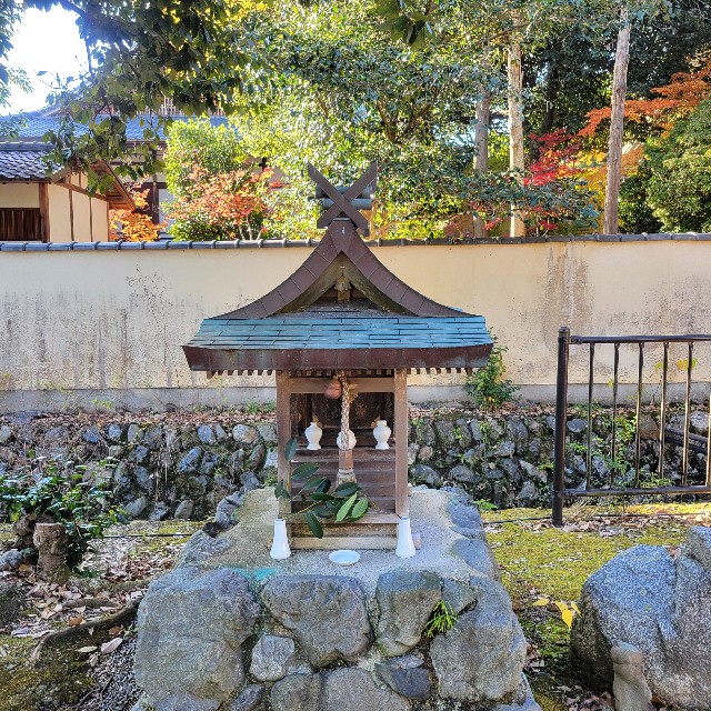 f:id:atoriatoriatori:20241214210159j:image