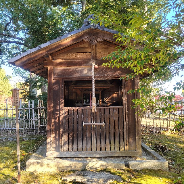 f:id:atoriatoriatori:20241214211459j:image