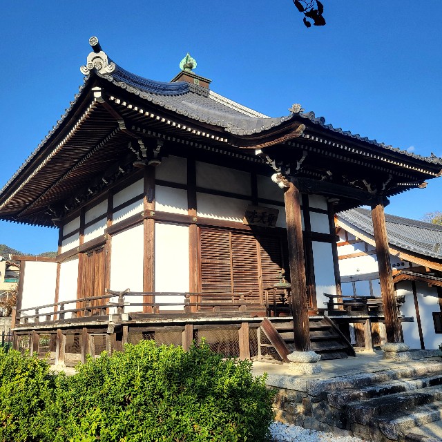 f:id:atoriatoriatori:20241214212158j:image
