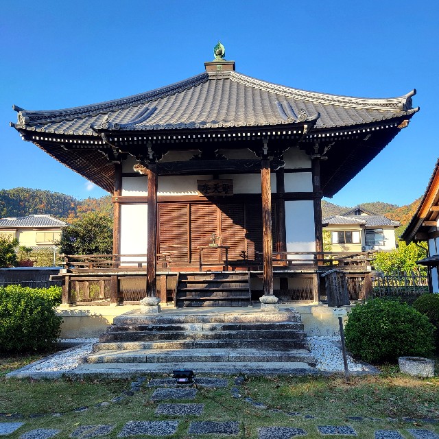 f:id:atoriatoriatori:20241214212207j:image