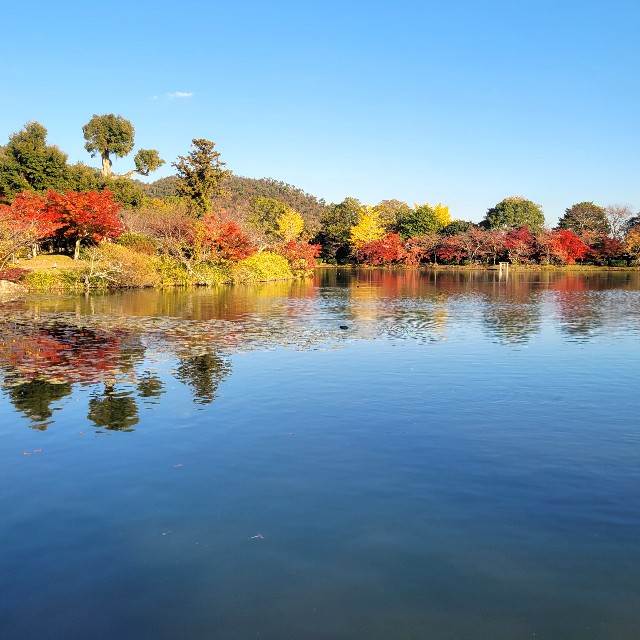 f:id:atoriatoriatori:20241215085220j:image