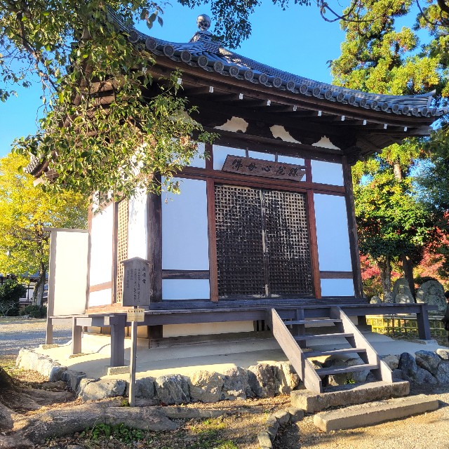 f:id:atoriatoriatori:20241215092719j:image