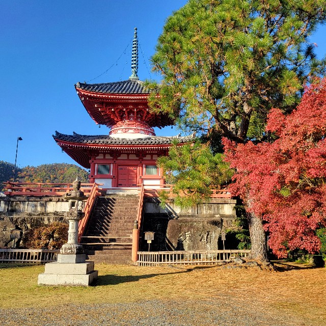 f:id:atoriatoriatori:20241215093306j:image