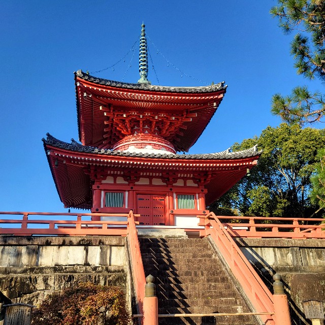 f:id:atoriatoriatori:20241215093316j:image