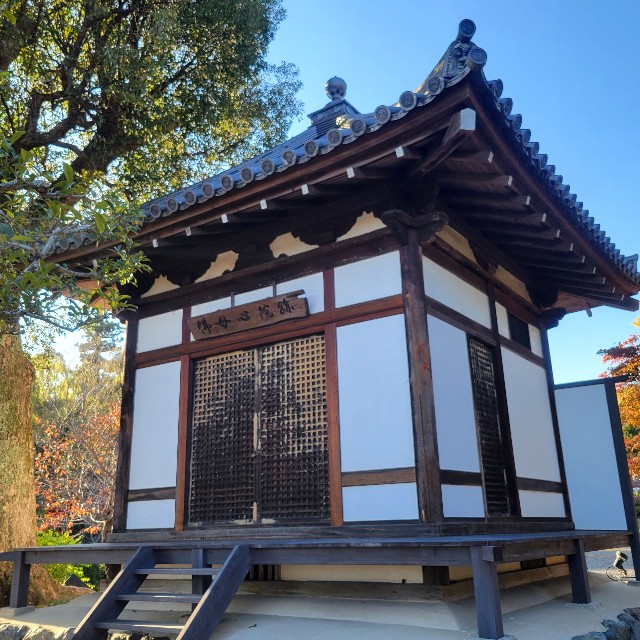 f:id:atoriatoriatori:20241215093338j:image