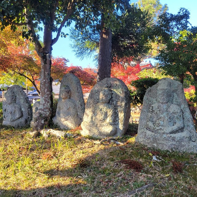 f:id:atoriatoriatori:20241215093353j:image