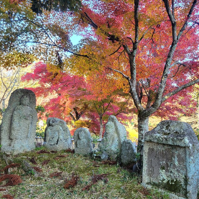 f:id:atoriatoriatori:20241215093402j:image