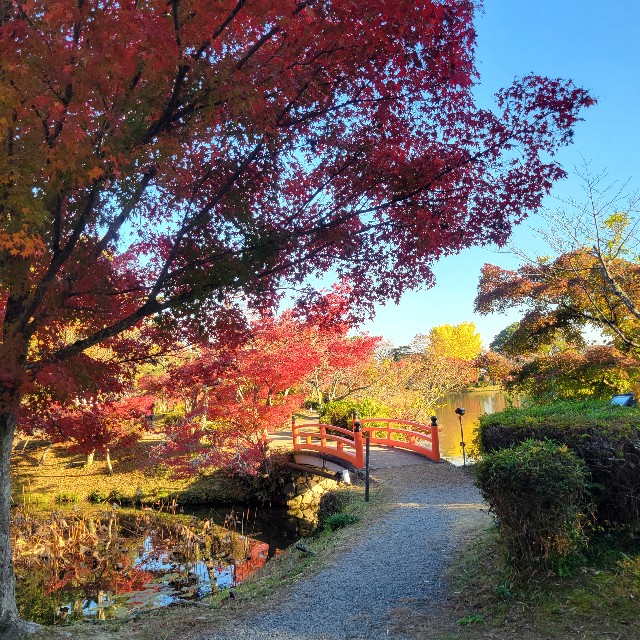 f:id:atoriatoriatori:20241215093702j:image