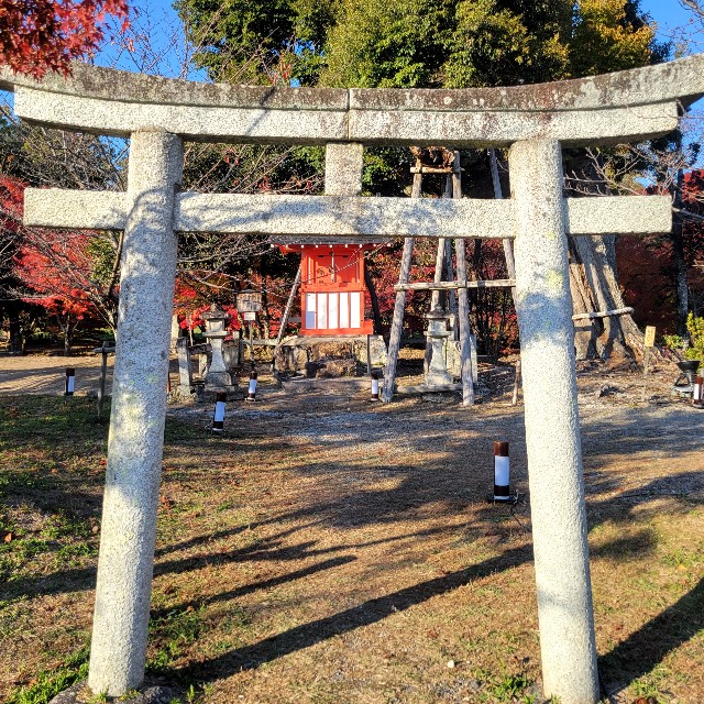 f:id:atoriatoriatori:20241215093712j:image