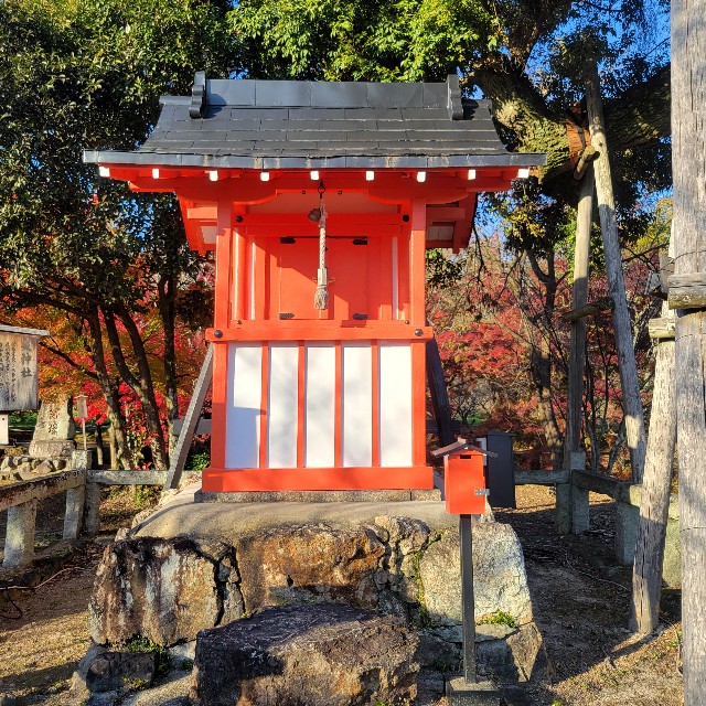 f:id:atoriatoriatori:20241215093725j:image