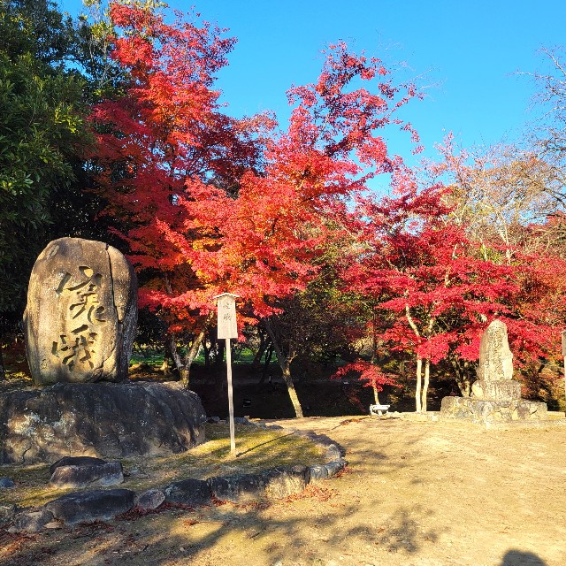 f:id:atoriatoriatori:20241215093745j:image