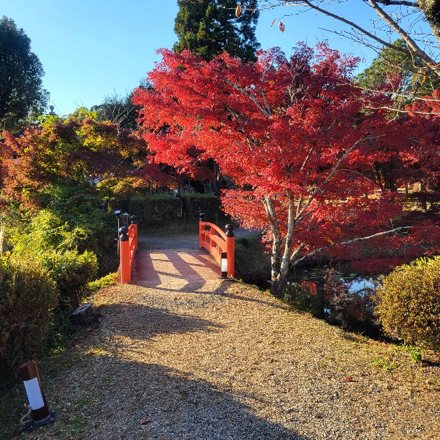 f:id:atoriatoriatori:20241215100436j:image