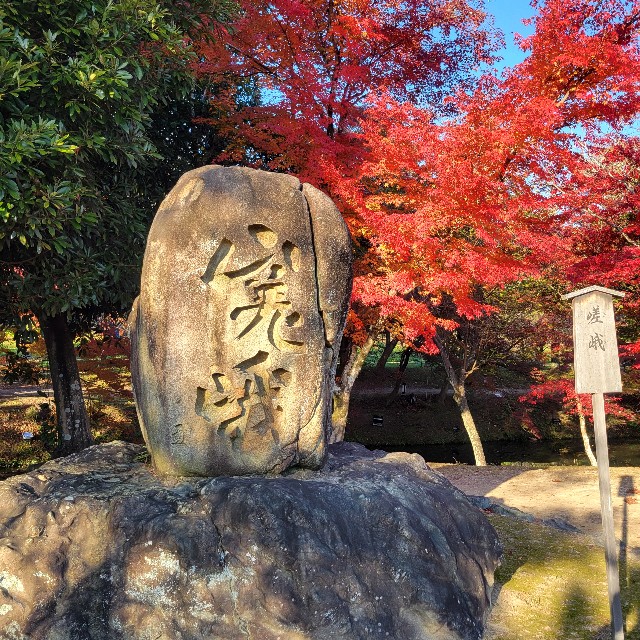 f:id:atoriatoriatori:20241215100611j:image